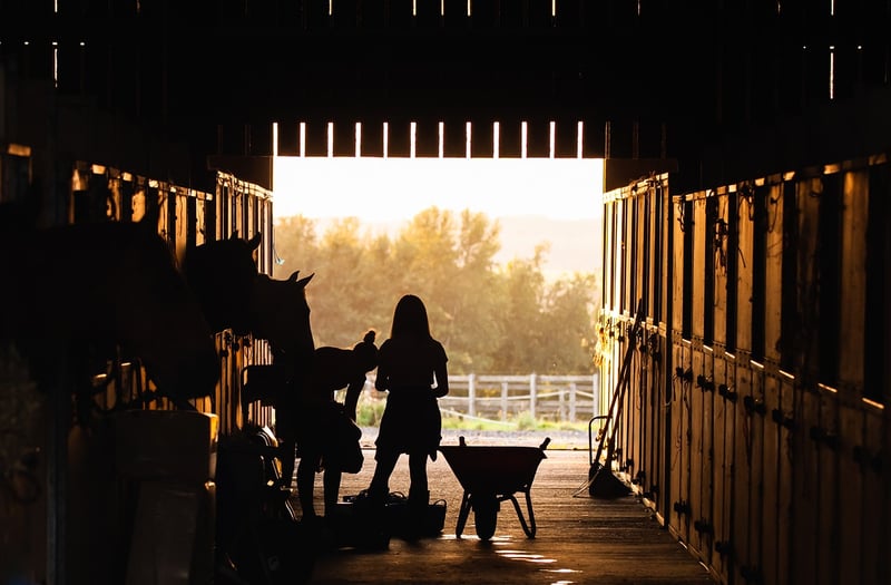 Meadowbrook Farm